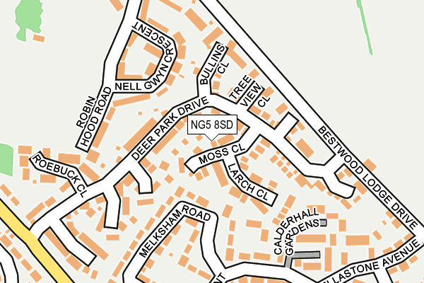 NG5 8SD map - OS OpenMap – Local (Ordnance Survey)