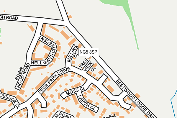 NG5 8SP map - OS OpenMap – Local (Ordnance Survey)