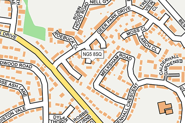 NG5 8SQ map - OS OpenMap – Local (Ordnance Survey)