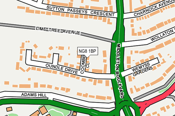 NG8 1BP map - OS OpenMap – Local (Ordnance Survey)