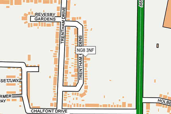 NG8 3NF map - OS OpenMap – Local (Ordnance Survey)