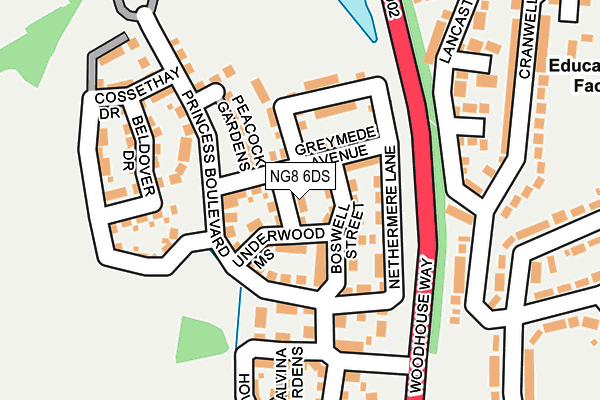 NG8 6DS map - OS OpenMap – Local (Ordnance Survey)