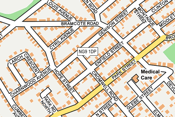 NG9 1DP map - OS OpenMap – Local (Ordnance Survey)