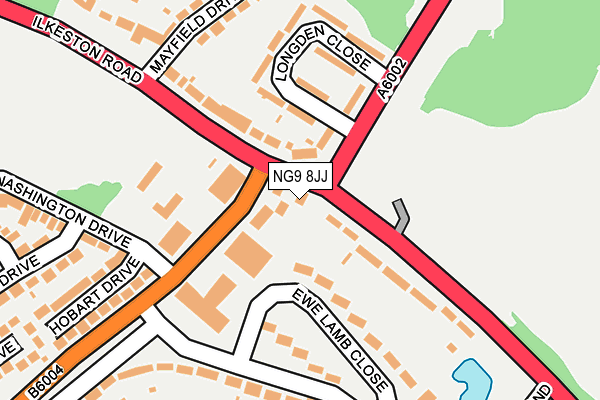 NG9 8JJ map - OS OpenMap – Local (Ordnance Survey)