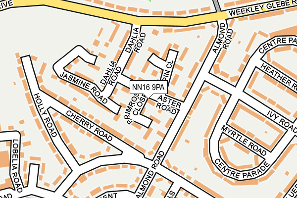 NN16 9PA map - OS OpenMap – Local (Ordnance Survey)
