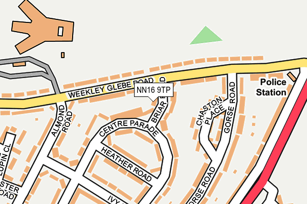 NN16 9TP map - OS OpenMap – Local (Ordnance Survey)