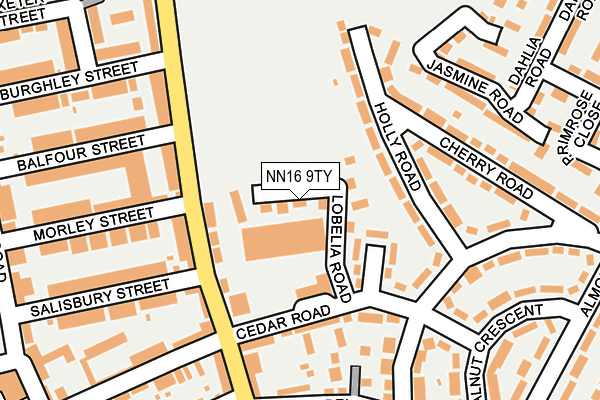 NN16 9TY map - OS OpenMap – Local (Ordnance Survey)