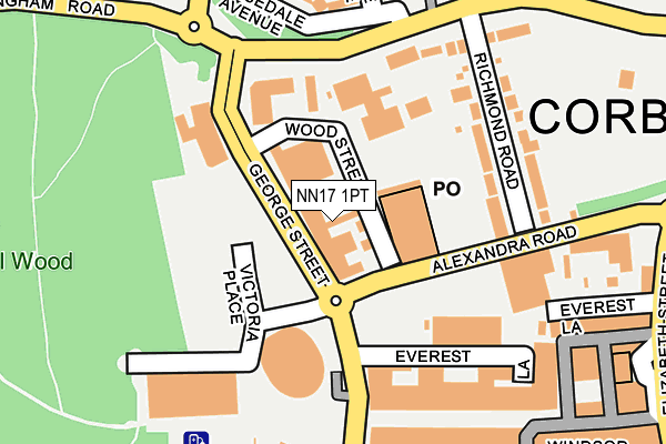NN17 1PT map - OS OpenMap – Local (Ordnance Survey)