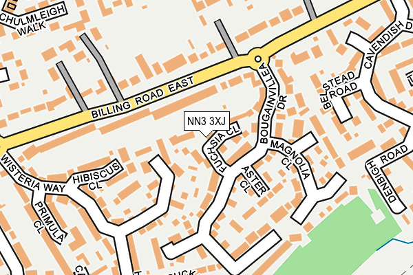 NN3 3XJ map - OS OpenMap – Local (Ordnance Survey)