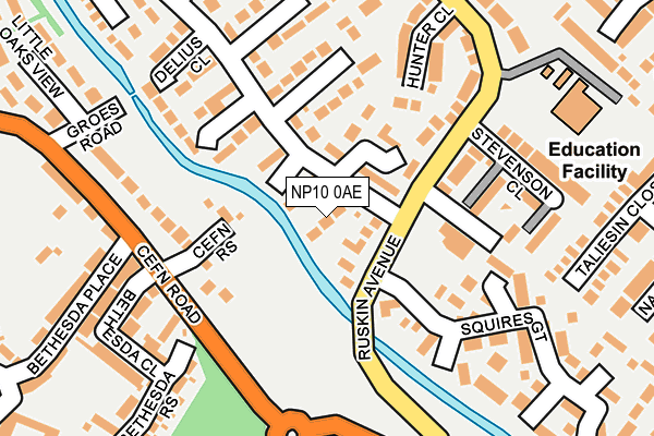 NP10 0AE map - OS OpenMap – Local (Ordnance Survey)