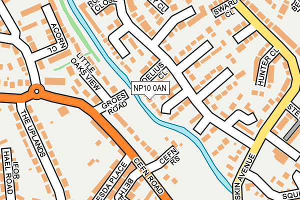 NP10 0AN map - OS OpenMap – Local (Ordnance Survey)