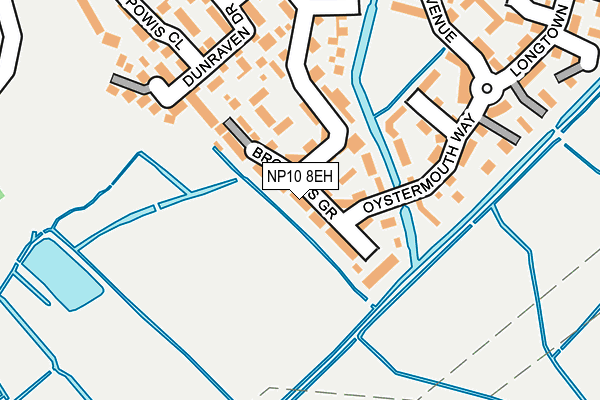 NP10 8EH map - OS OpenMap – Local (Ordnance Survey)
