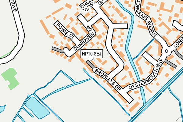 NP10 8EJ map - OS OpenMap – Local (Ordnance Survey)