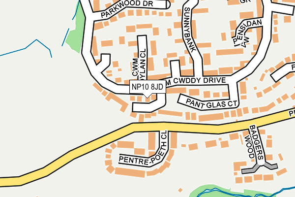 NP10 8JD map - OS OpenMap – Local (Ordnance Survey)