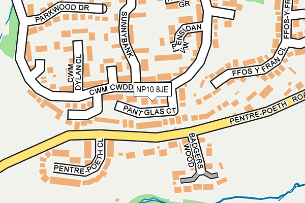NP10 8JE map - OS OpenMap – Local (Ordnance Survey)