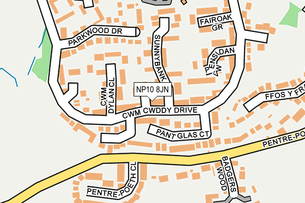 NP10 8JN map - OS OpenMap – Local (Ordnance Survey)
