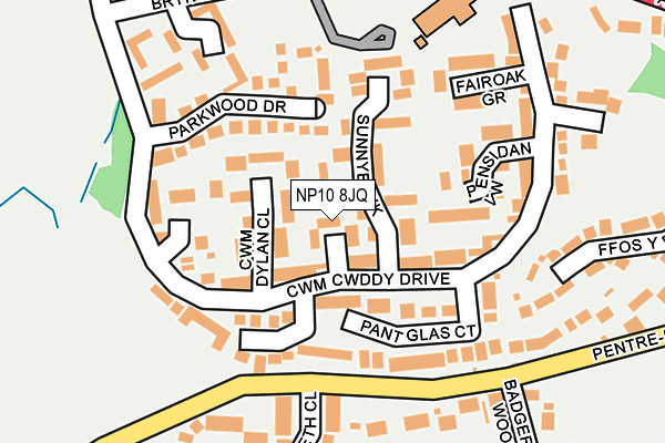 NP10 8JQ map - OS OpenMap – Local (Ordnance Survey)
