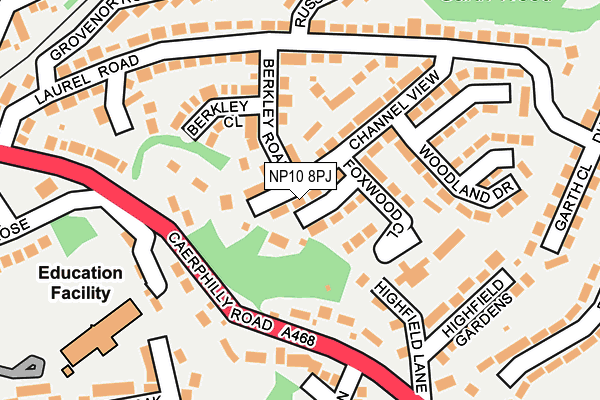 NP10 8PJ map - OS OpenMap – Local (Ordnance Survey)