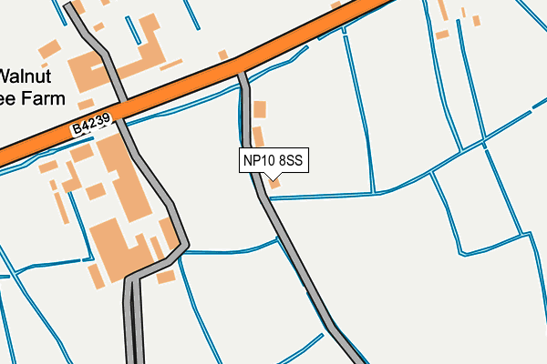 NP10 8SS map - OS OpenMap – Local (Ordnance Survey)