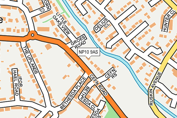 NP10 9AS map - OS OpenMap – Local (Ordnance Survey)