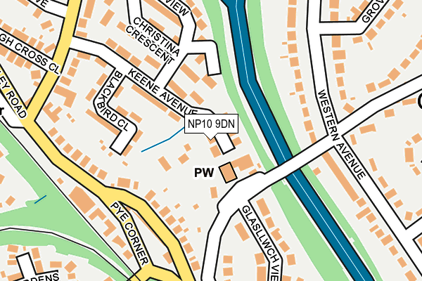 NP10 9DN map - OS OpenMap – Local (Ordnance Survey)