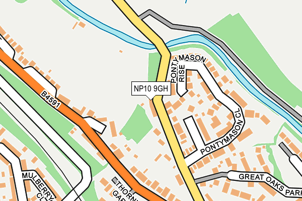NP10 9GH map - OS OpenMap – Local (Ordnance Survey)