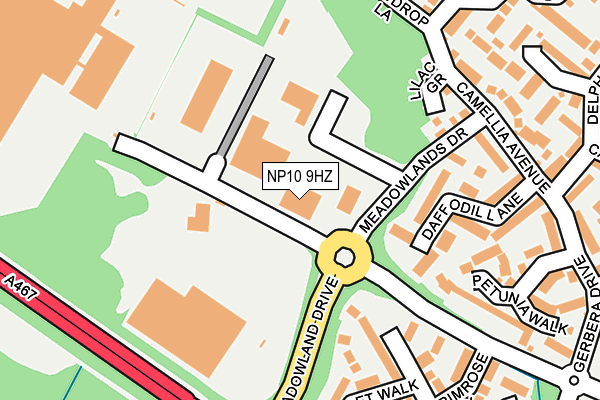NP10 9HZ map - OS OpenMap – Local (Ordnance Survey)