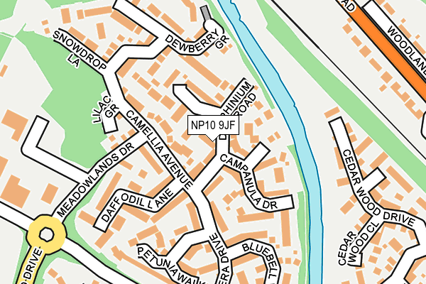 NP10 9JF map - OS OpenMap – Local (Ordnance Survey)