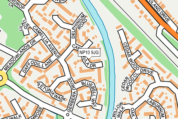 NP10 9JG map - OS OpenMap – Local (Ordnance Survey)