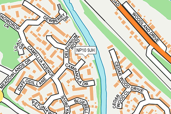 NP10 9JH map - OS OpenMap – Local (Ordnance Survey)