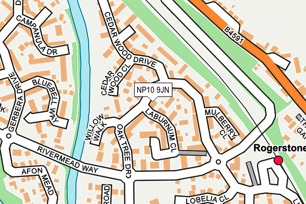 NP10 9JN map - OS OpenMap – Local (Ordnance Survey)