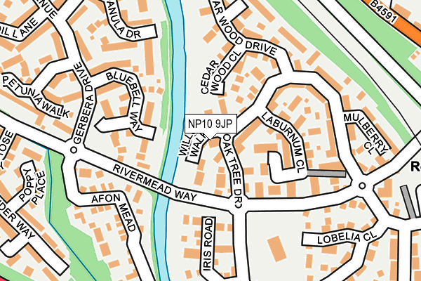 NP10 9JP map - OS OpenMap – Local (Ordnance Survey)