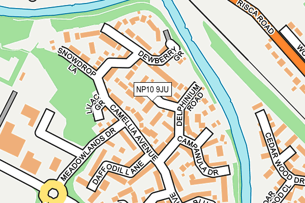 NP10 9JU map - OS OpenMap – Local (Ordnance Survey)