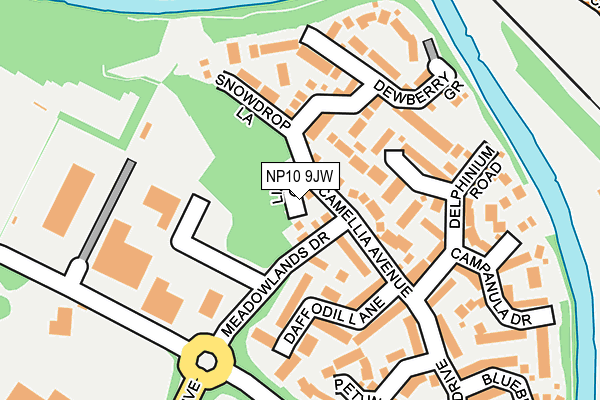 NP10 9JW map - OS OpenMap – Local (Ordnance Survey)