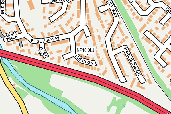 NP10 9LJ map - OS OpenMap – Local (Ordnance Survey)