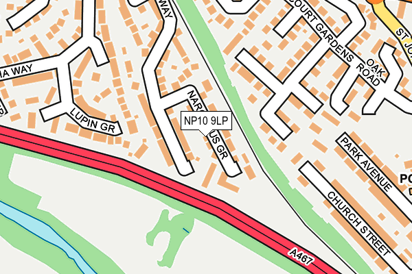 NP10 9LP map - OS OpenMap – Local (Ordnance Survey)