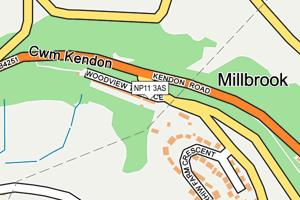 NP11 3AS map - OS OpenMap – Local (Ordnance Survey)