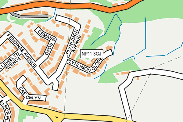 NP11 3GJ map - OS OpenMap – Local (Ordnance Survey)