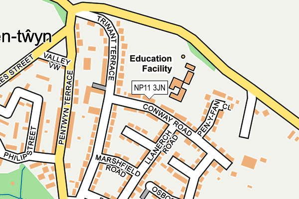 NP11 3JN map - OS OpenMap – Local (Ordnance Survey)