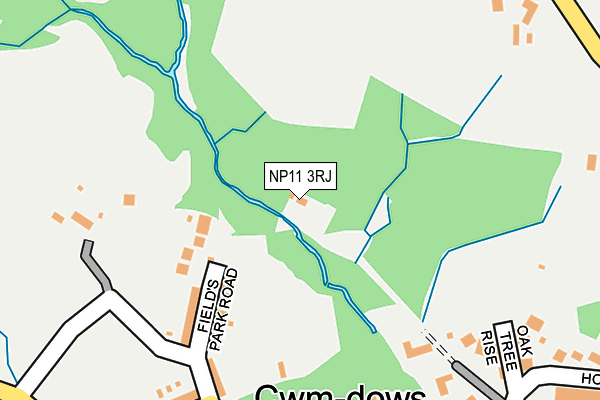 NP11 3RJ map - OS OpenMap – Local (Ordnance Survey)
