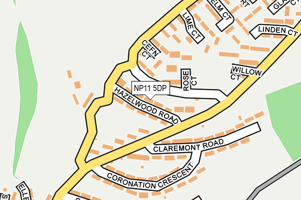 NP11 5DP map - OS OpenMap – Local (Ordnance Survey)