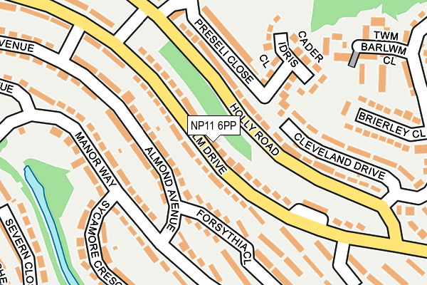 NP11 6PP map - OS OpenMap – Local (Ordnance Survey)