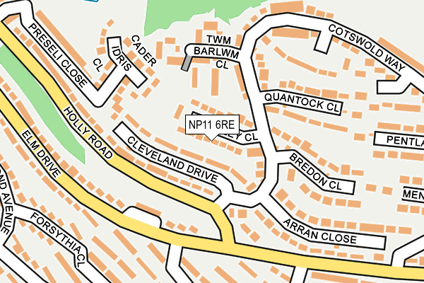 NP11 6RE map - OS OpenMap – Local (Ordnance Survey)