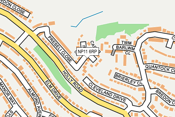 NP11 6RP map - OS OpenMap – Local (Ordnance Survey)