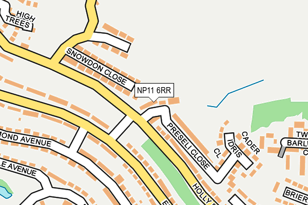 NP11 6RR map - OS OpenMap – Local (Ordnance Survey)
