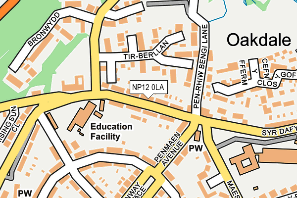 NP12 0LA map - OS OpenMap – Local (Ordnance Survey)