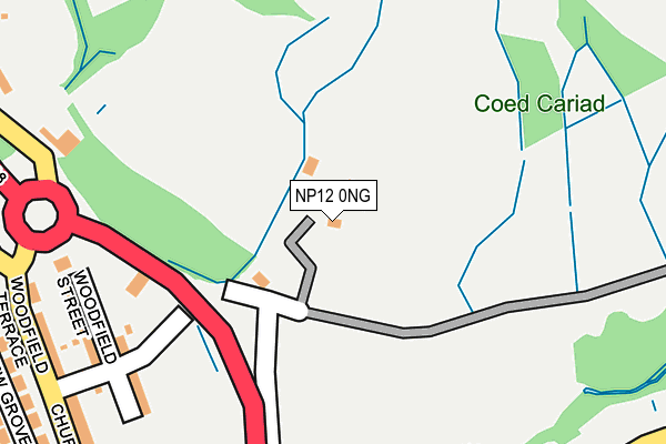 NP12 0NG map - OS OpenMap – Local (Ordnance Survey)