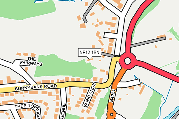 NP12 1BN map - OS OpenMap – Local (Ordnance Survey)