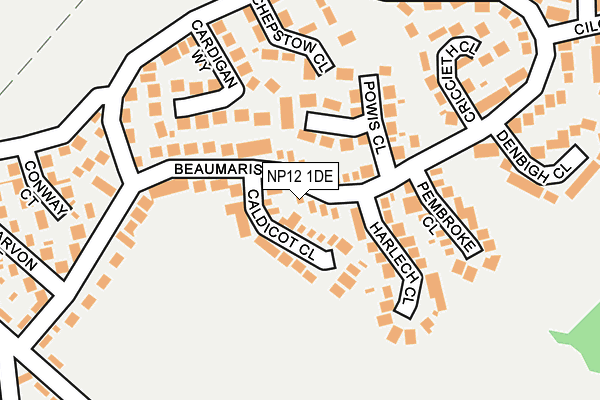 NP12 1DE map - OS OpenMap – Local (Ordnance Survey)