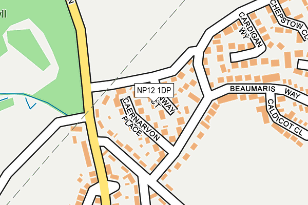 NP12 1DP map - OS OpenMap – Local (Ordnance Survey)